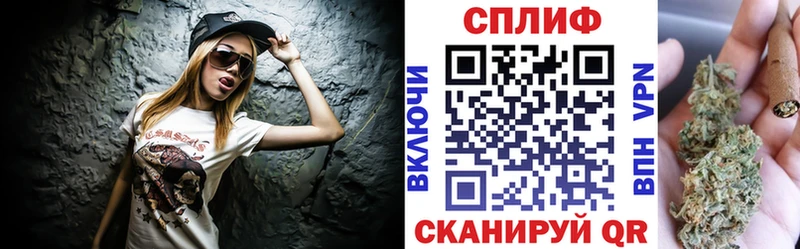 как найти   Морозовск  Марихуана сатива 